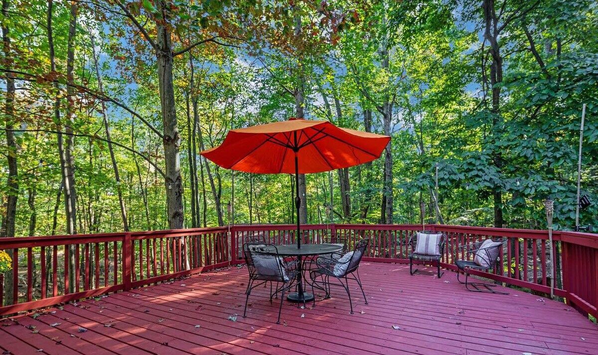 Photo of Outdoor in The Woods