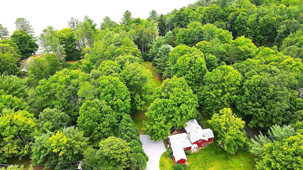 Photo of Others in Hadley