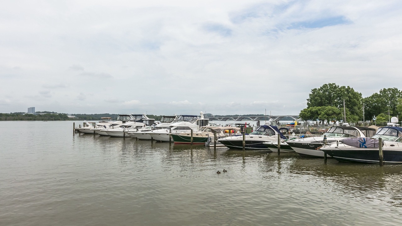 Photo of Others in Old Town Alexandria