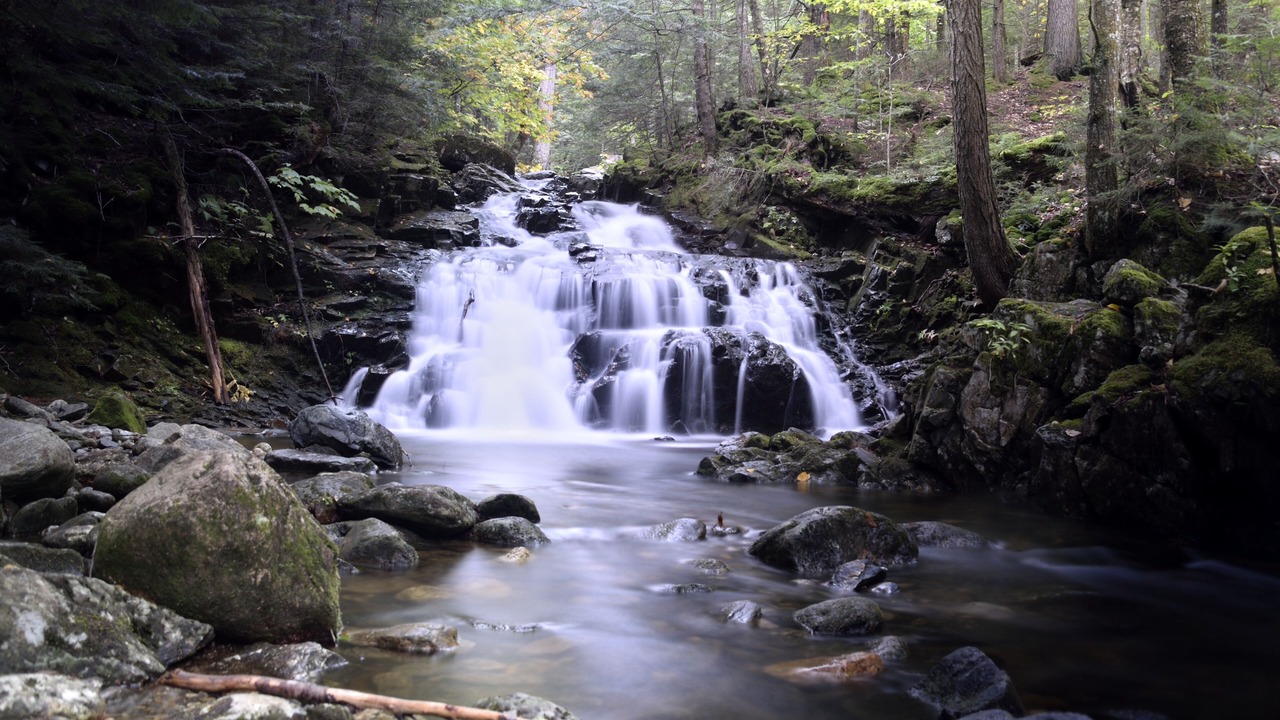 Photo of Others in Gorham