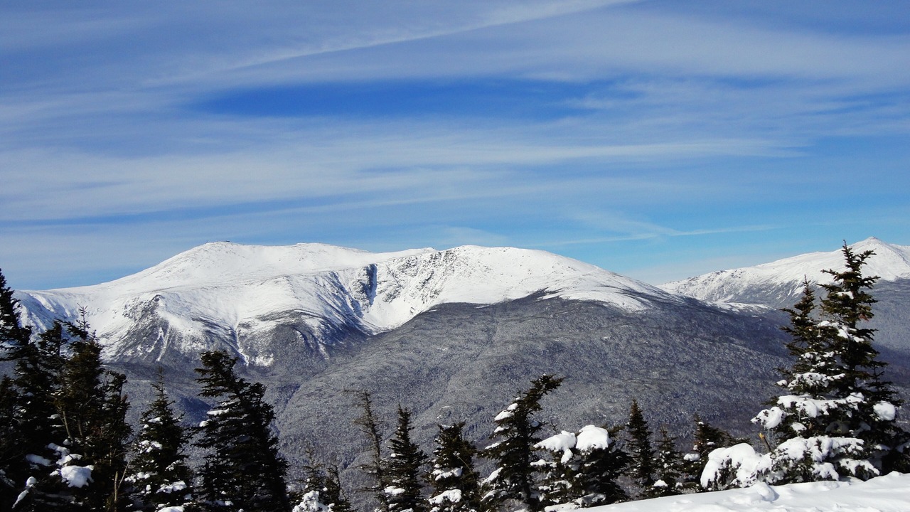 Photo of Others in Gorham
