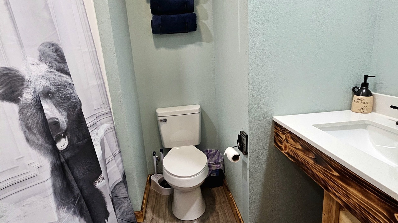 Photo of Bathroom in Matewan