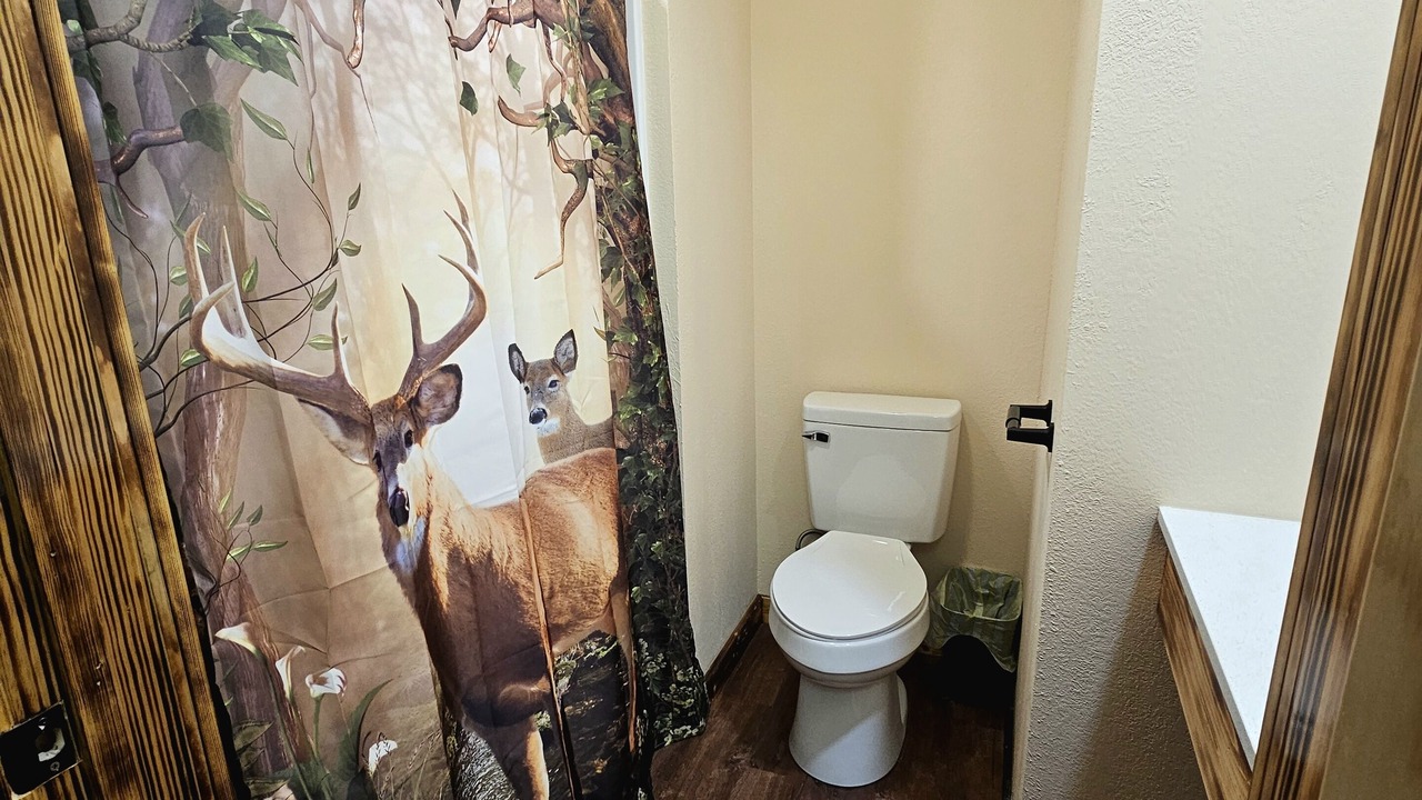 Photo of Bathroom in Matewan