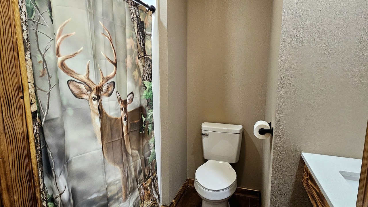 Photo of Bathroom in Matewan