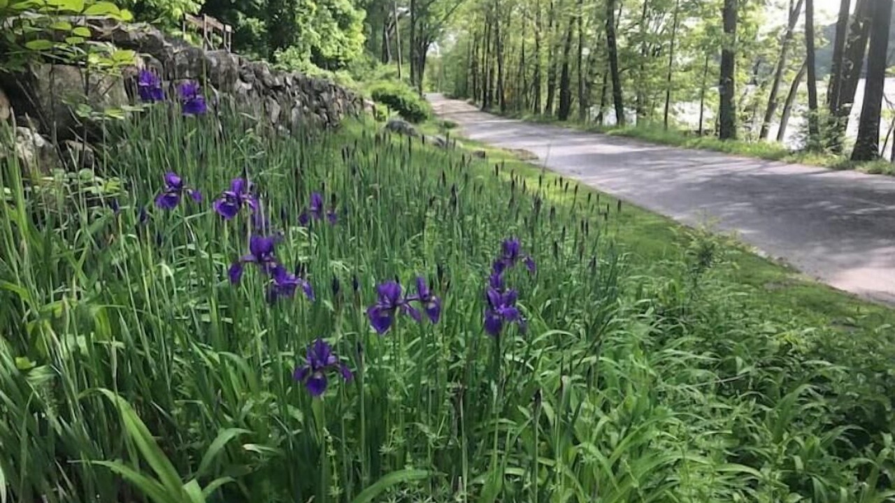 Photo of Outdoor in Town of Southeast