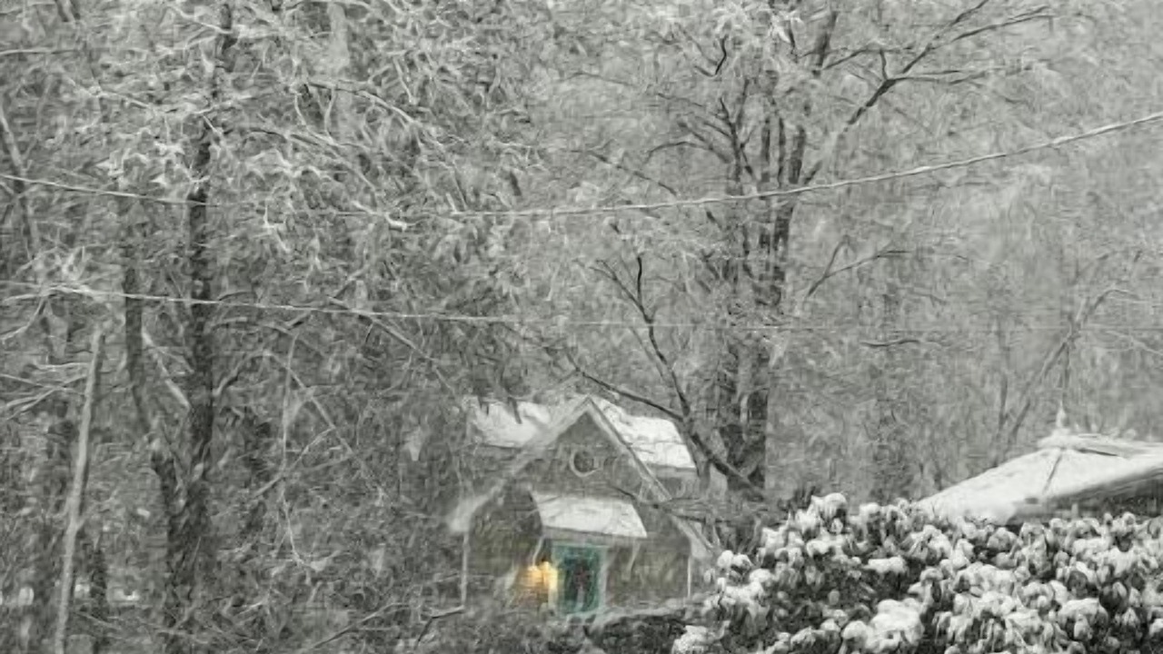 Photo of Outdoor in Town of Southeast