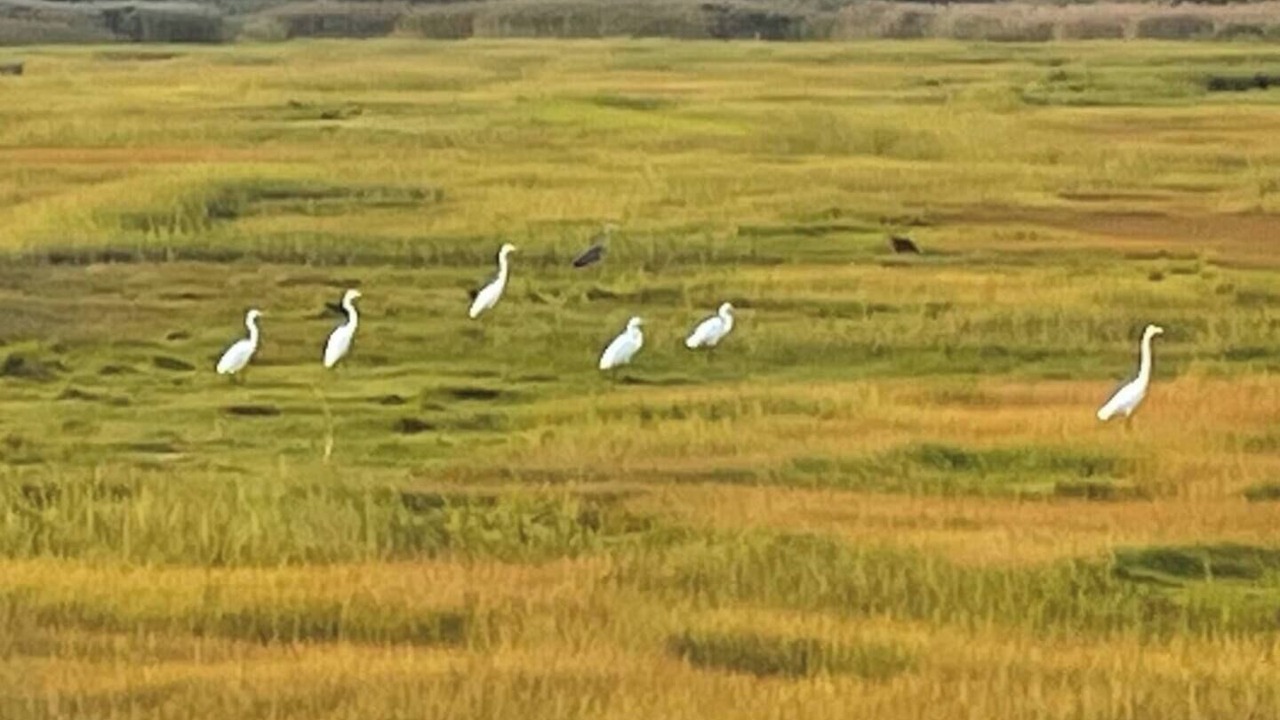 Photo of Others in Wading River