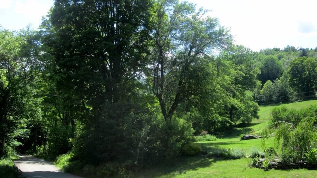 Photo of Others in Rochester