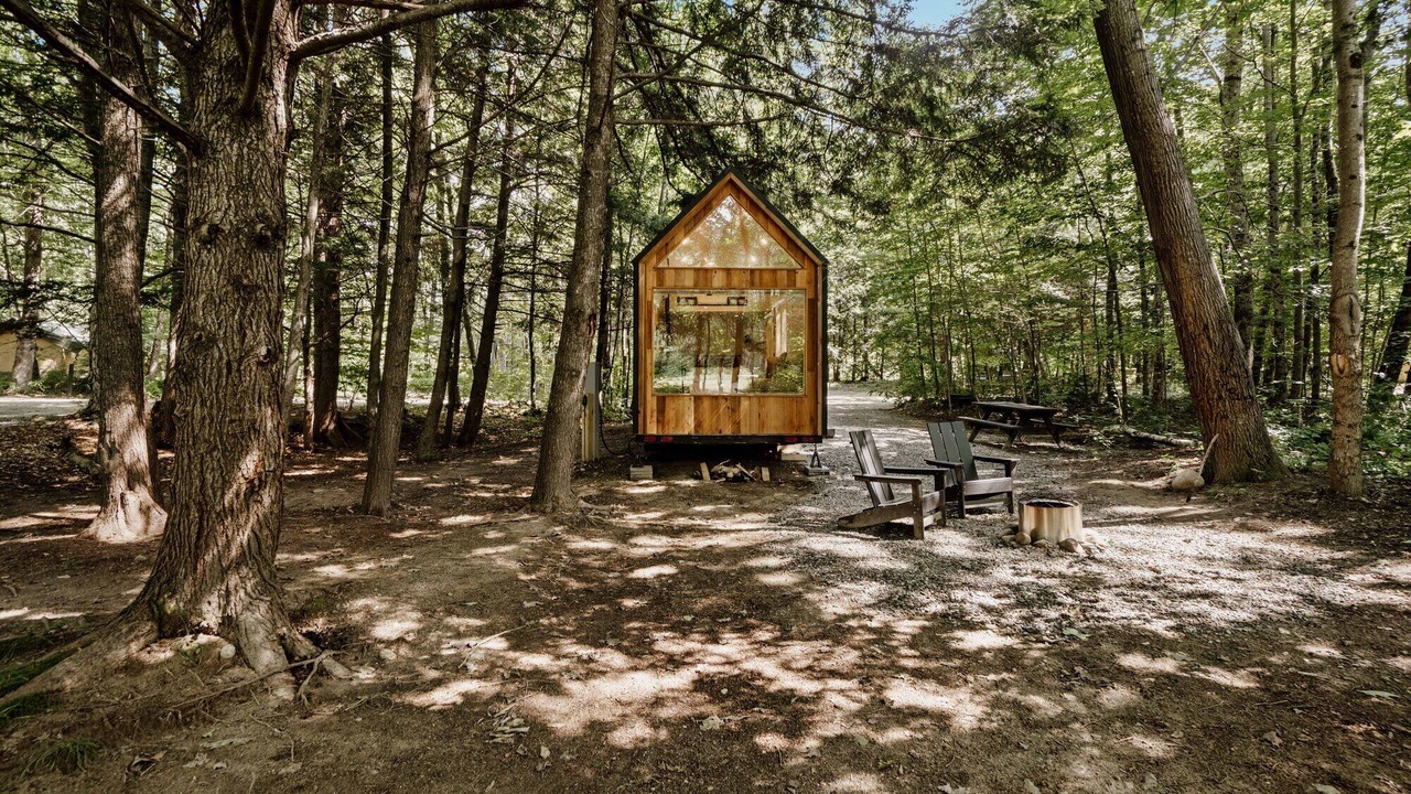 Photo of Others in Woodstock