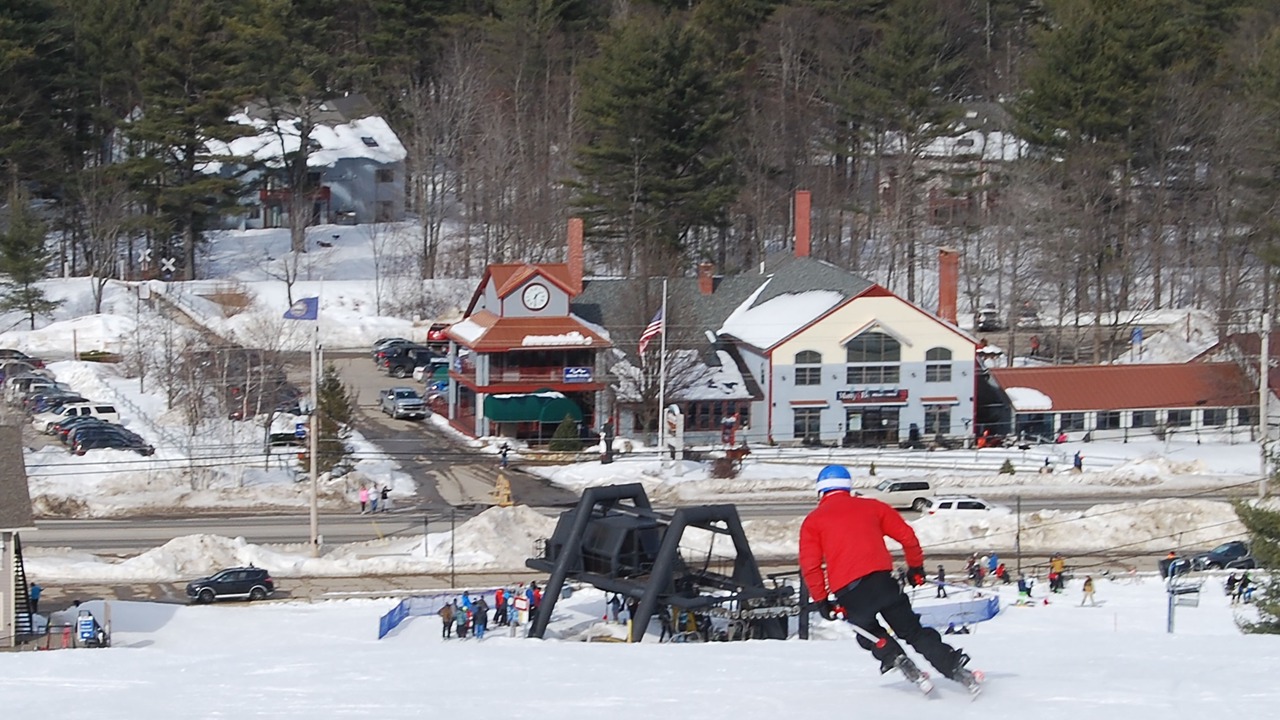 Photo of Others in Bartlett