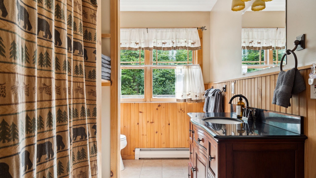 Photo of Bathroom in Wardsboro
