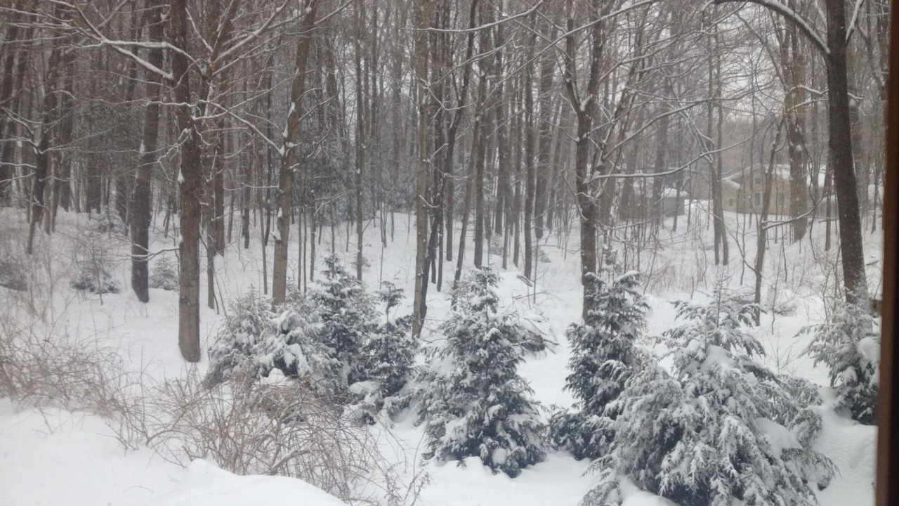 Photo of Outdoor in Housatonic