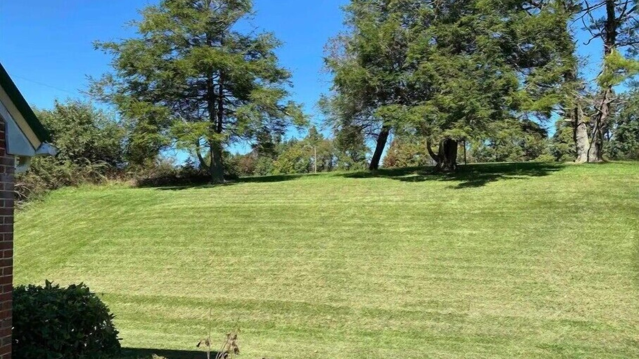 Photo of Outdoor in Meadows Of Dan