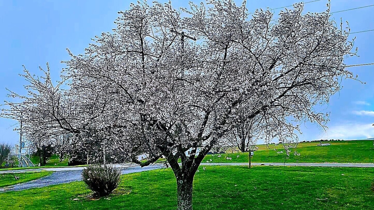 Photo of Outdoor in Middletown