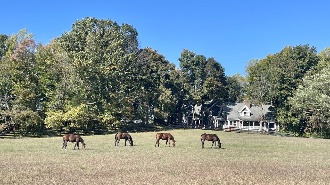 Photo of Outdoor in Cream Ridge