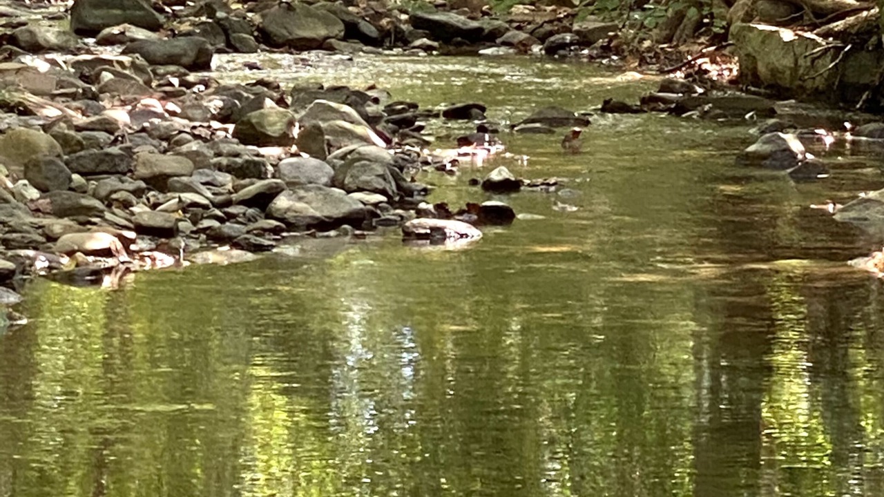 Photo of Outdoor in Elkton