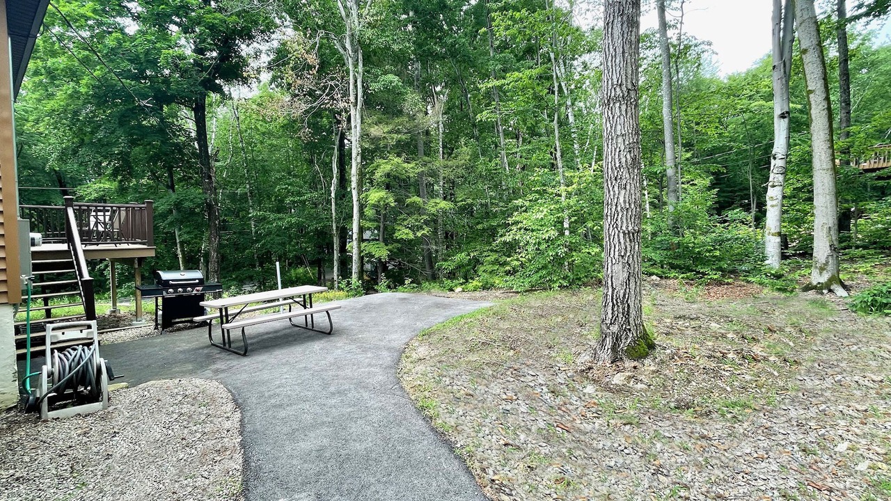 Photo of Outdoor in Intervale