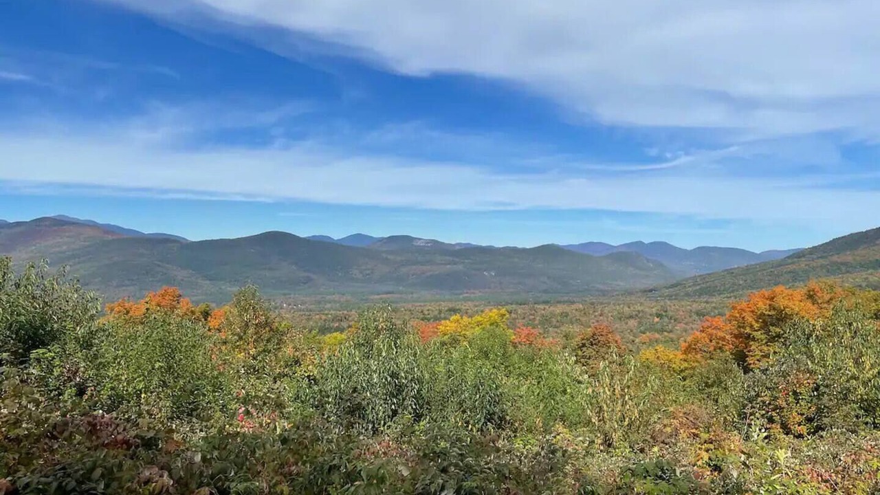 Photo of Outdoor in Bartlett