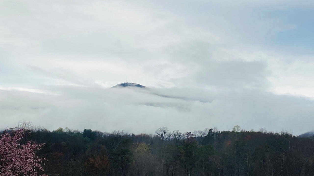 Photo of Others in Mount Airy