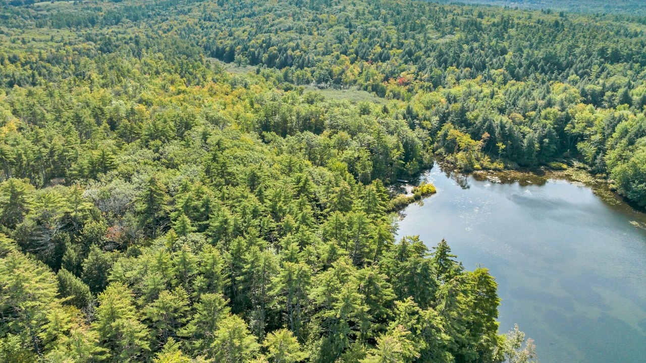 Photo of Outdoor in Center Harbor