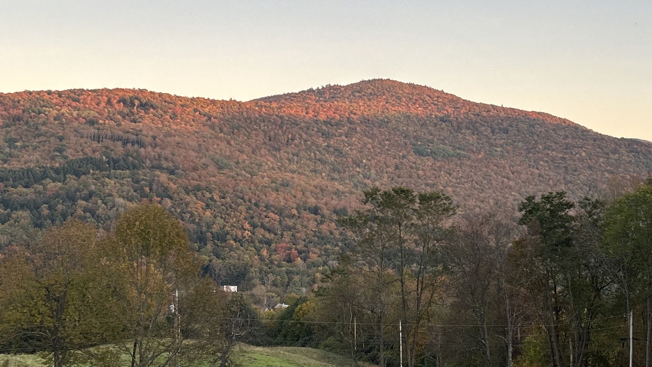 Photo of Others in Bridgewater