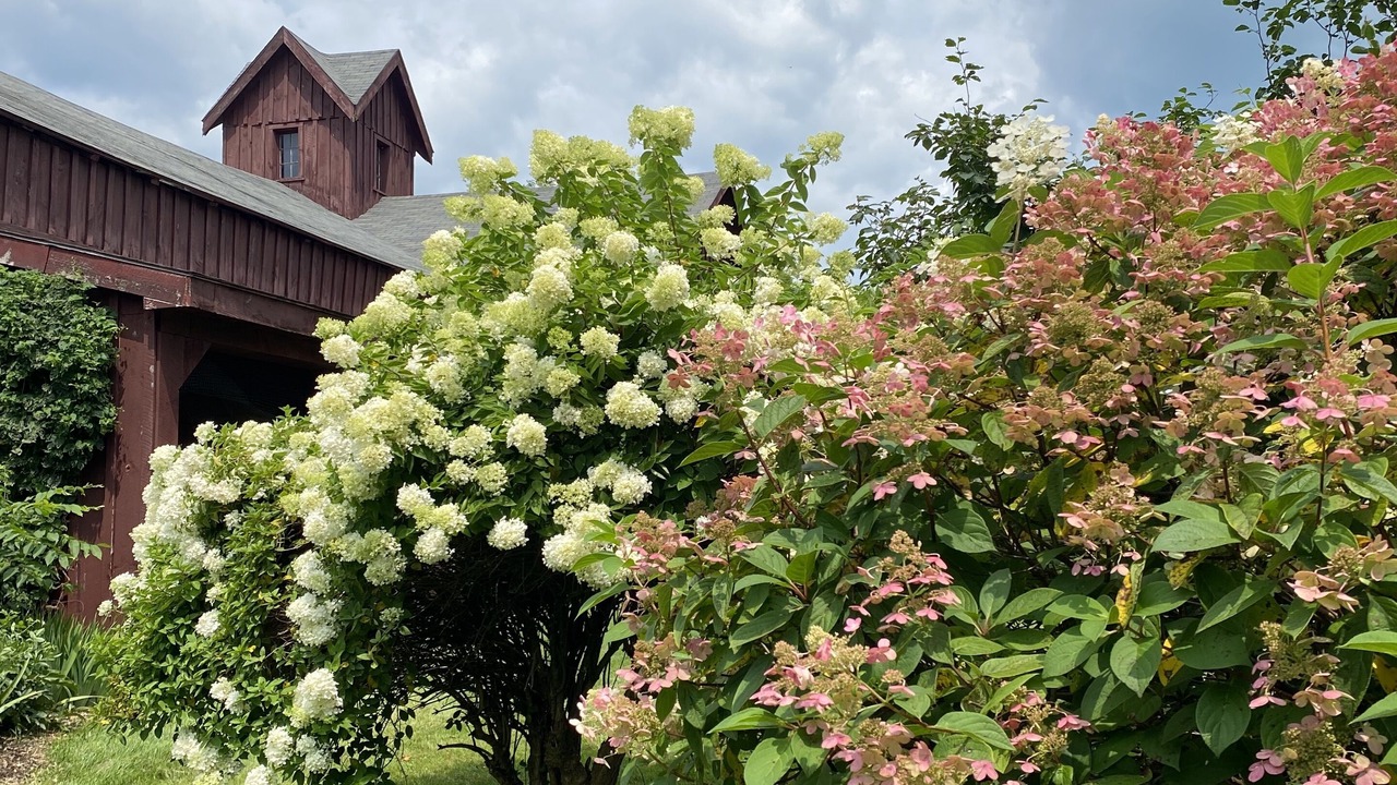 Photo of Outdoor in Schuylerville