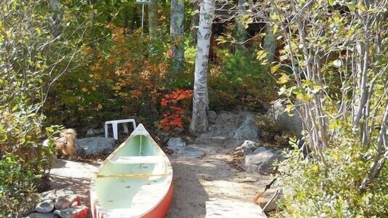 Photo of Outdoor in Moultonborough