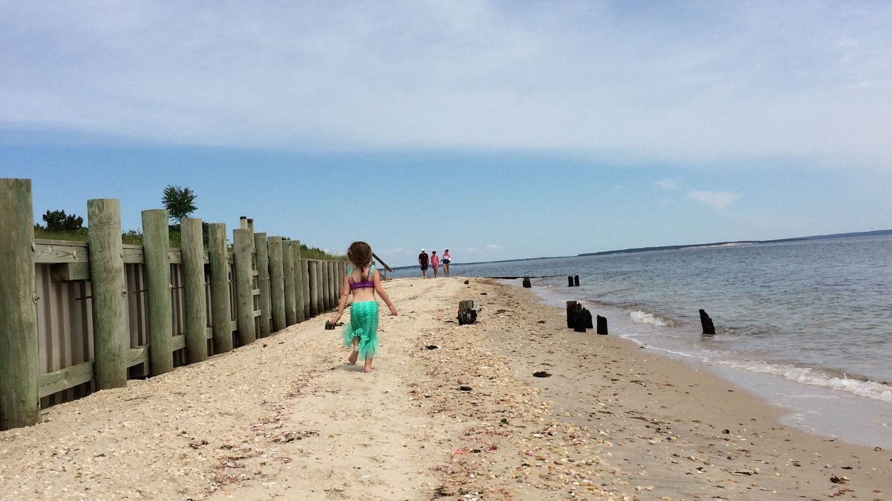 Photo of Others in Jamesport