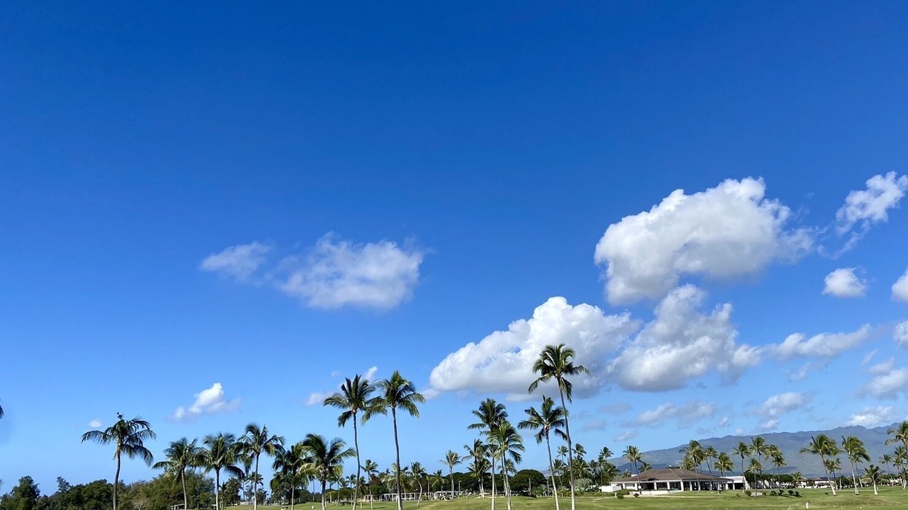Photo of Others in Ko Olina