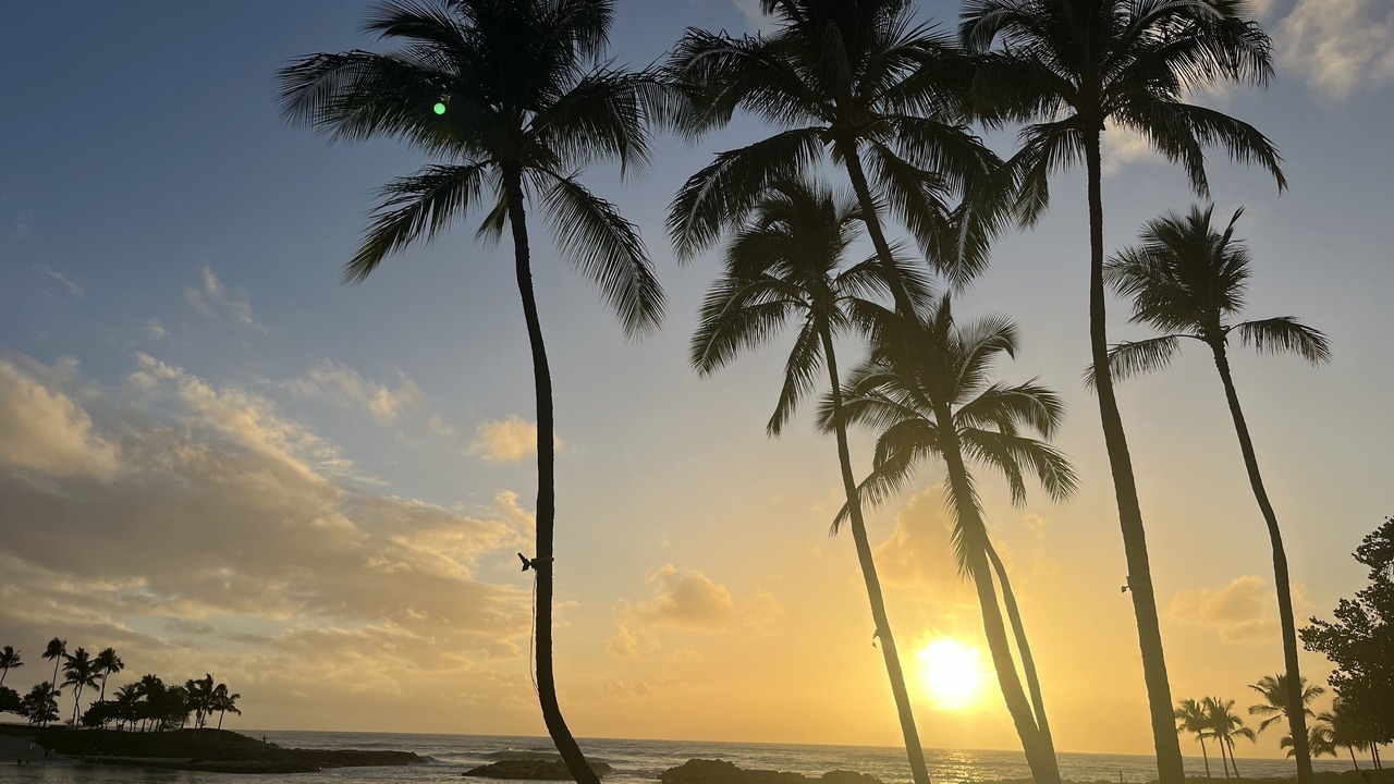 Photo of Others in Ko Olina