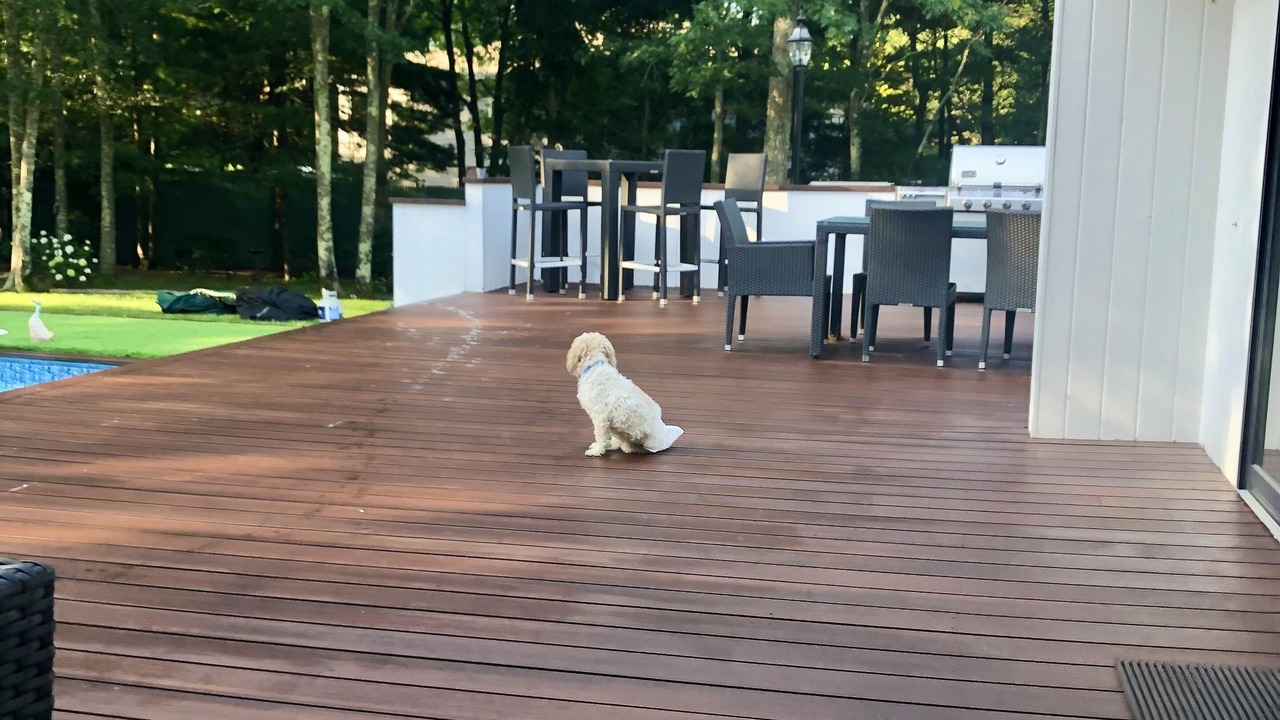 Photo of Outdoor in East Quogue