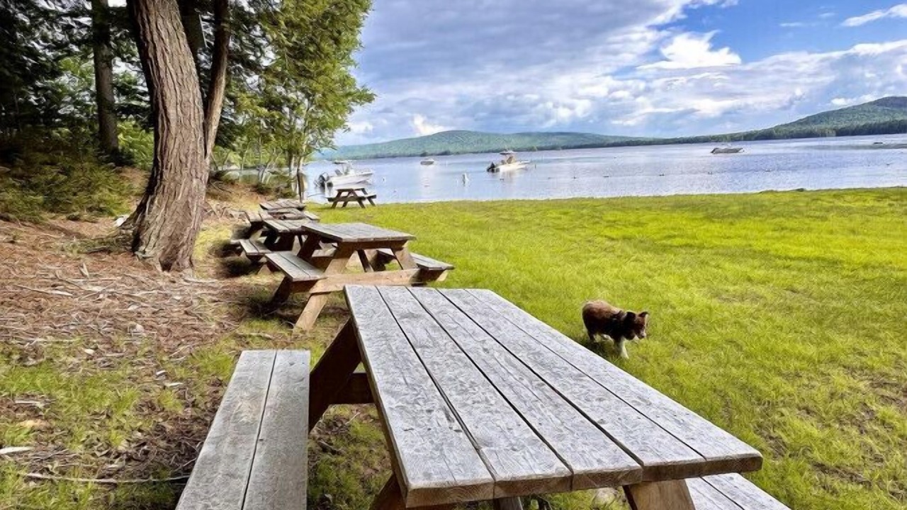 Photo of Others in Beaver Cove