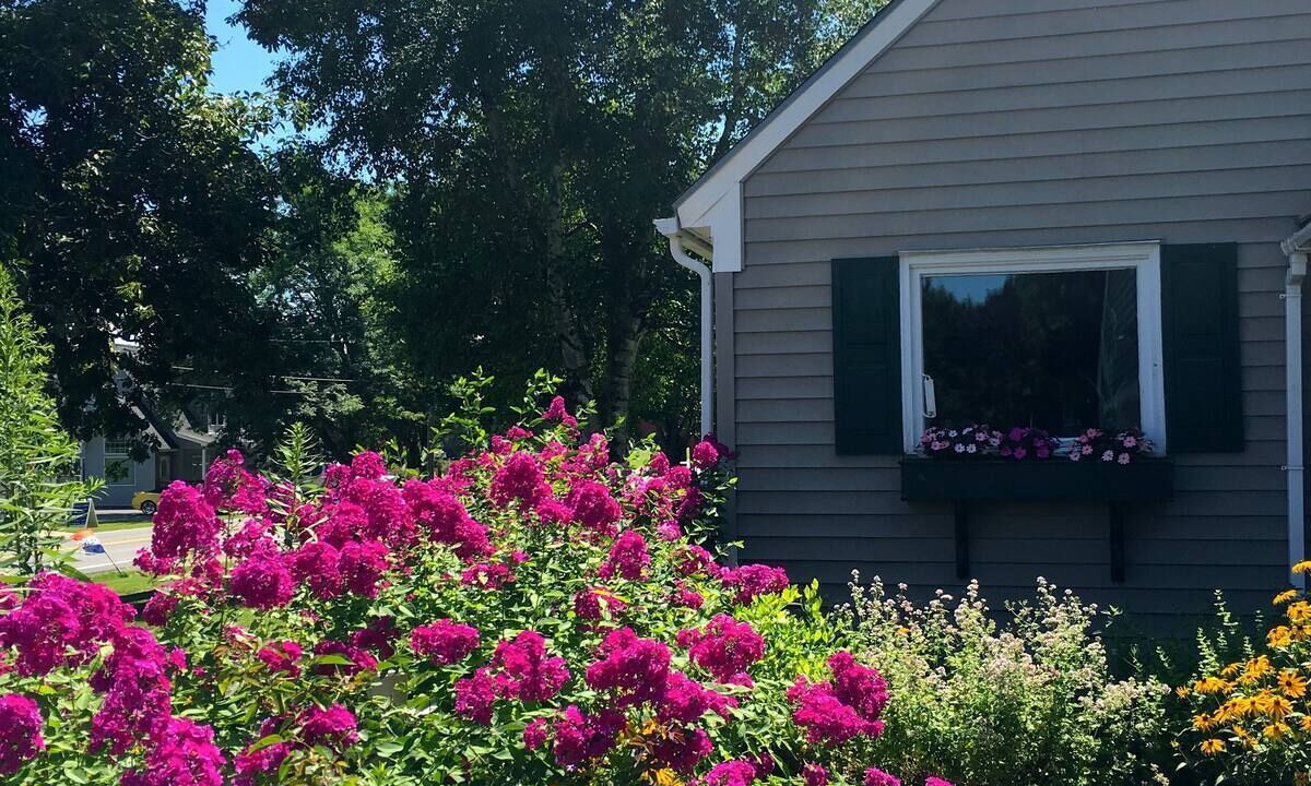 Photo of Outdoor in Cooperstown