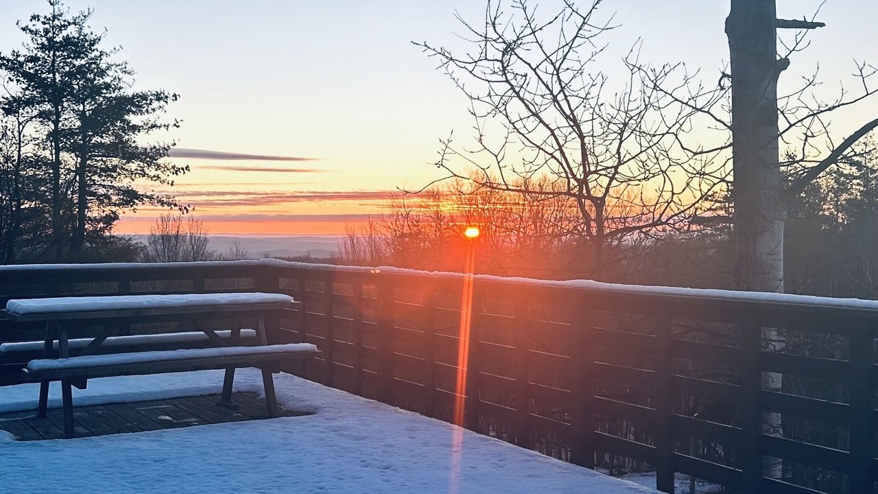 Photo of Patio Balcony in East Durham