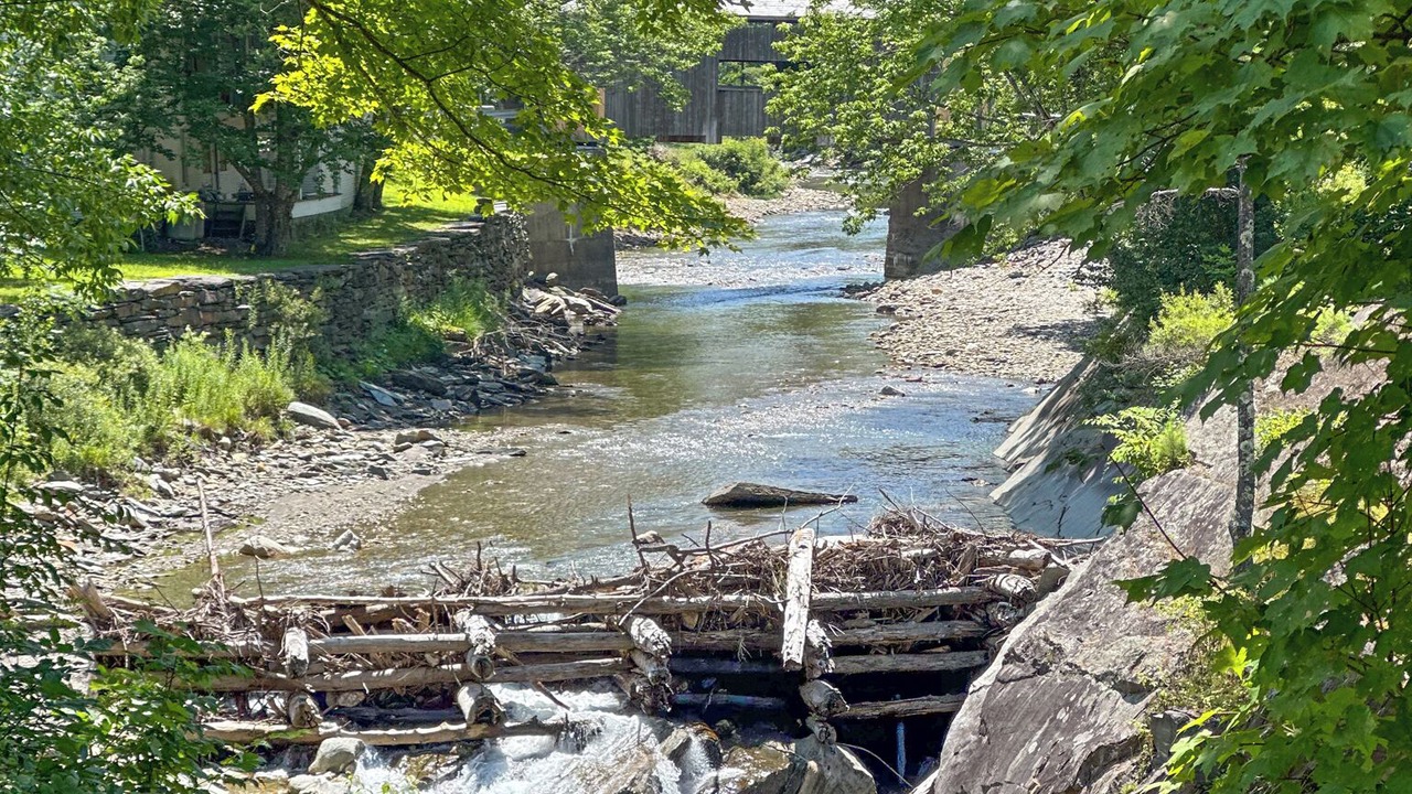 Photo of Others in Warren