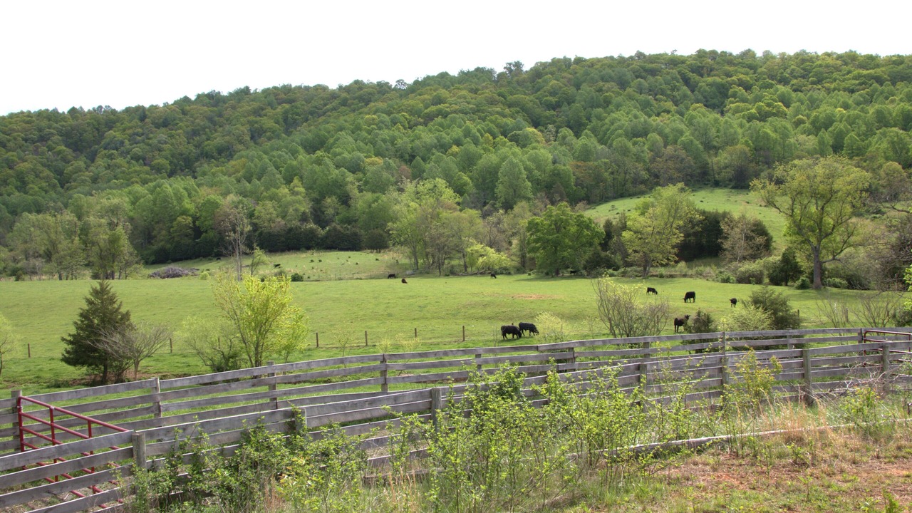 Photo of Outdoor in Hood