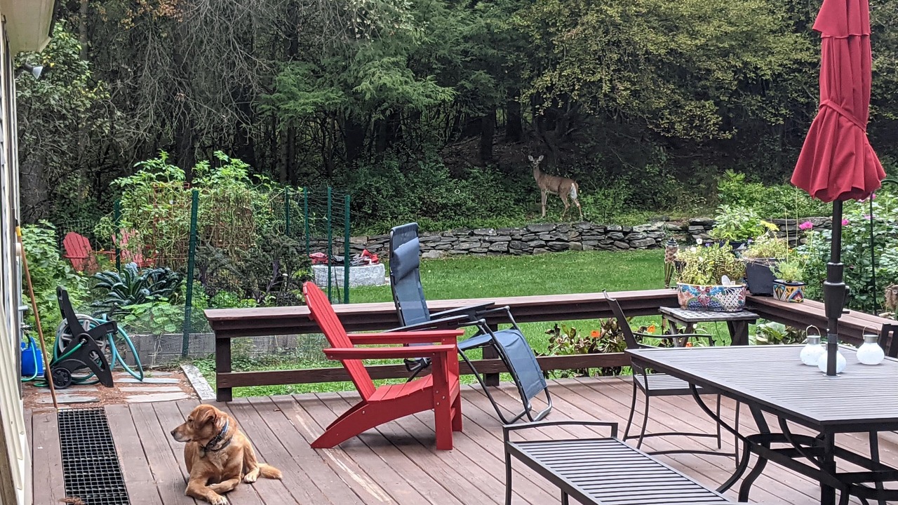 Photo of Outdoor in Hanover