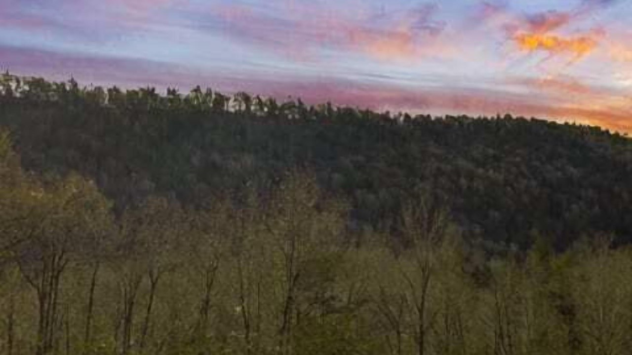 Photo of Outdoor in Wardensville