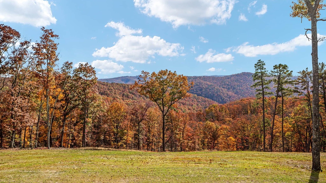 Photo of Others in South Fork