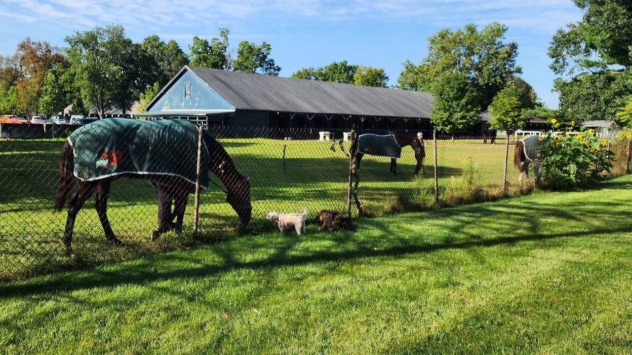 Photo of Outdoor in Saratoga Springs