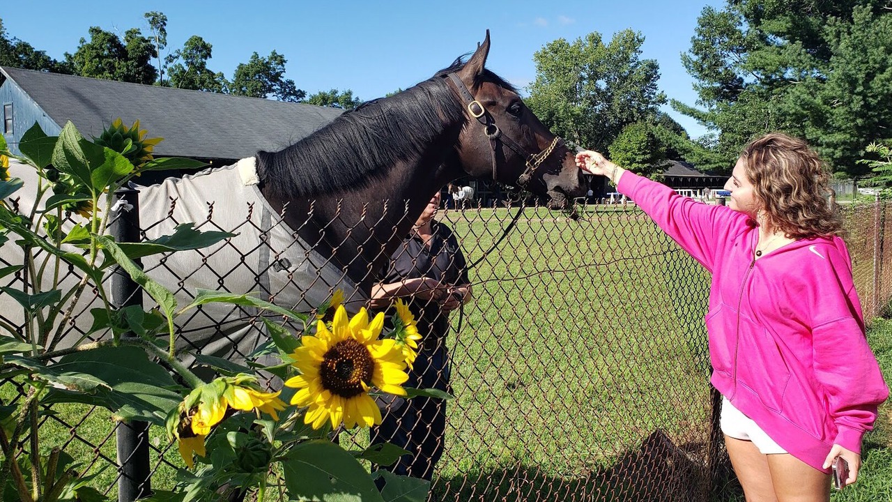 Photo of Outdoor in Saratoga Springs