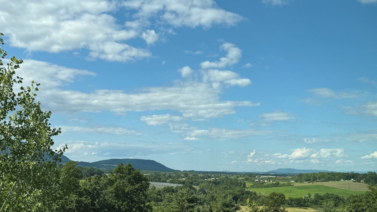 Photo of Others in North Lake George