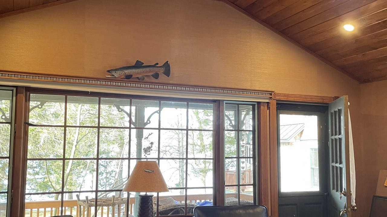 Photo of Livingroom in Lake George
