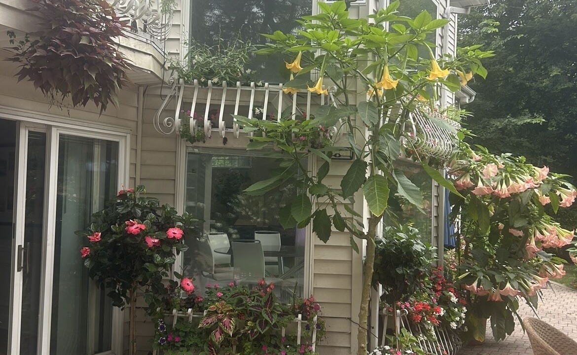 Photo of Outdoor in Franklin Square
