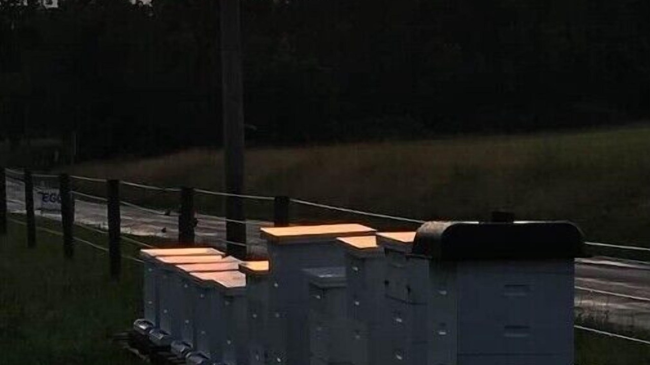 Photo of Outdoor in Peninsula