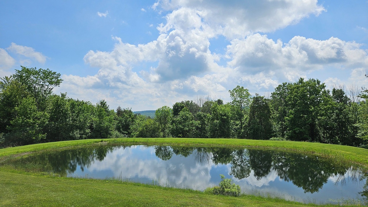 Photo of Outdoor in Middlesex