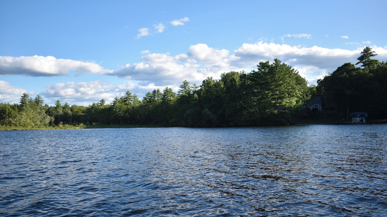 Photo of Others in Lyman