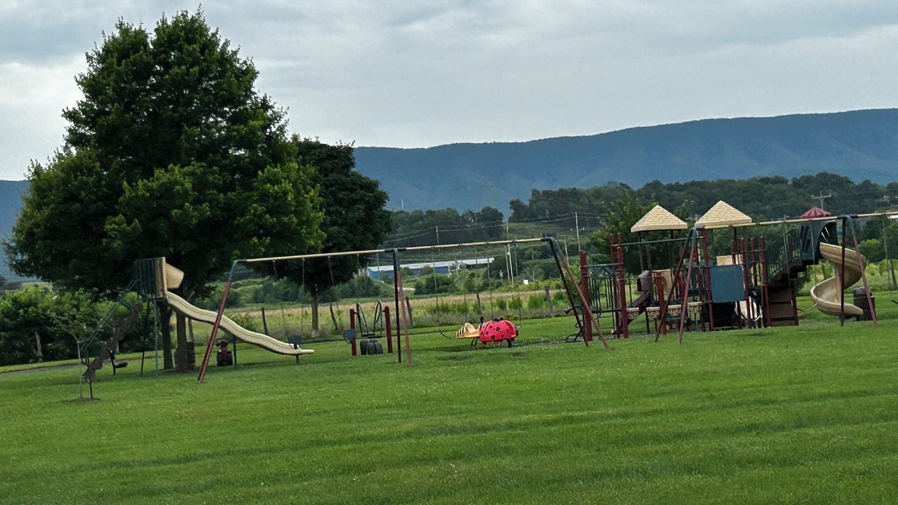 Photo of Others in Old Fields