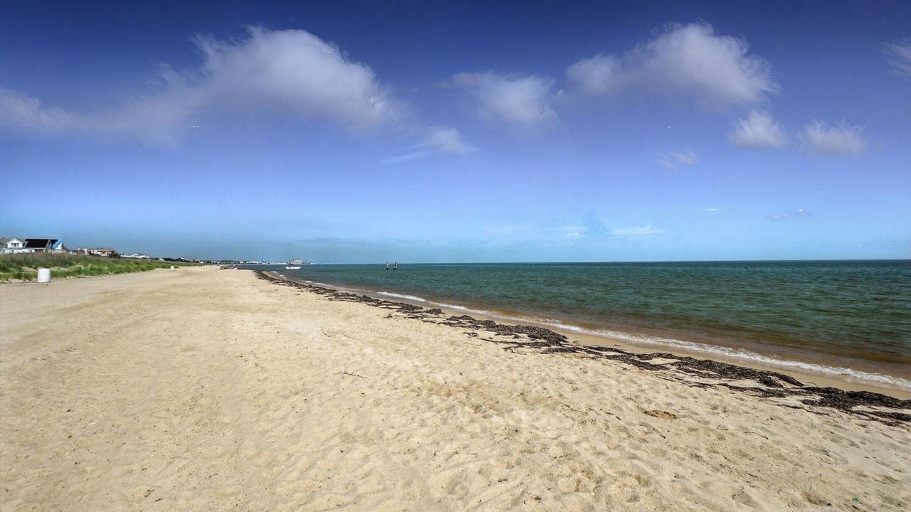 Photo of Others in East Ocean View