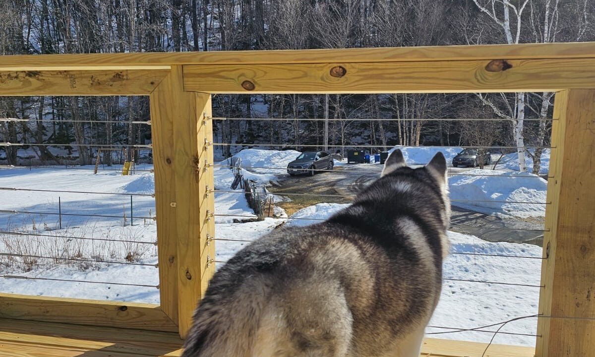 Photo of Outdoor in Hancock